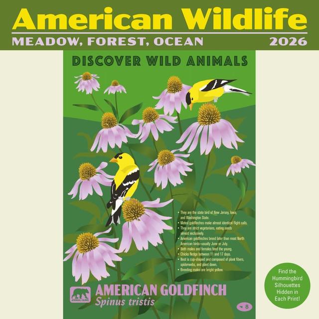 American Wildlife 2026 Mini Wall Calendar