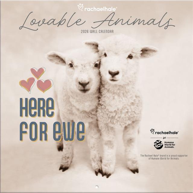 Rachael Hale Loveable Animals 2026 Wall Calendar