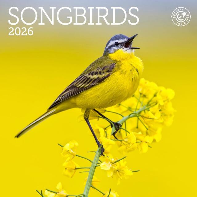 Songbirds 2026 Mini Wall Calendar