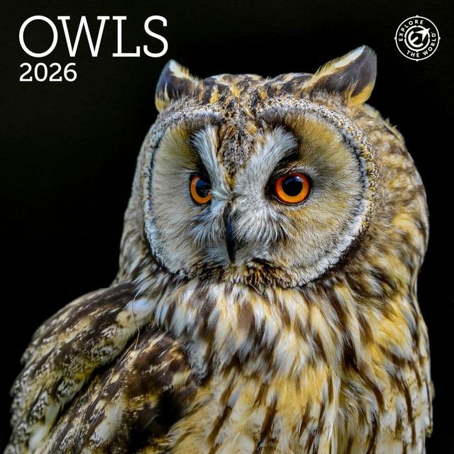 Owls 2026 Mini Wall Calendar