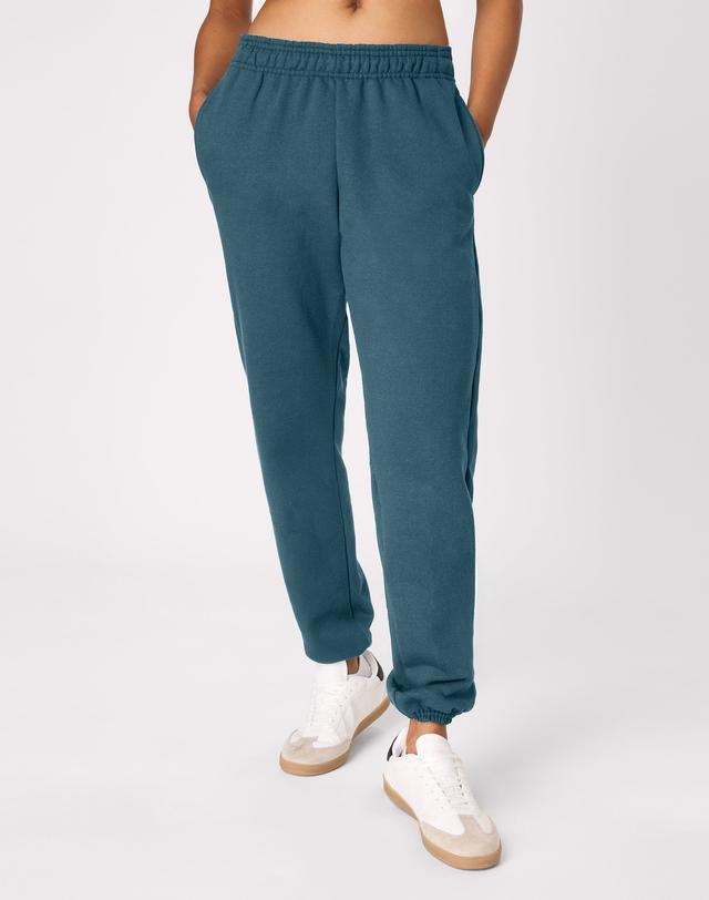Hanes Sport Ultimate Men's Fleece Joggers, 32" Cactus 2XL