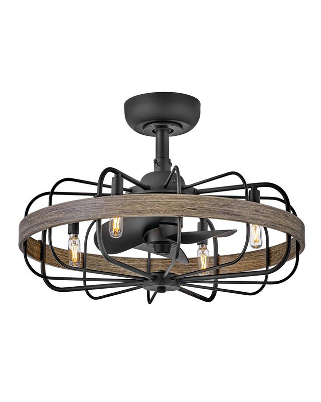 Eli 4-Light 22" LED Fandelier Light in Matte Black