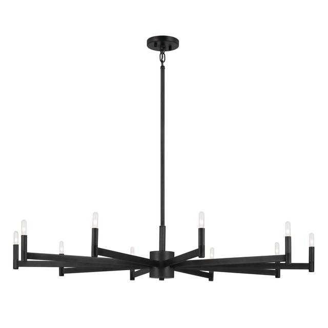 Black Ten Light Chandelier from the Erzo Collection