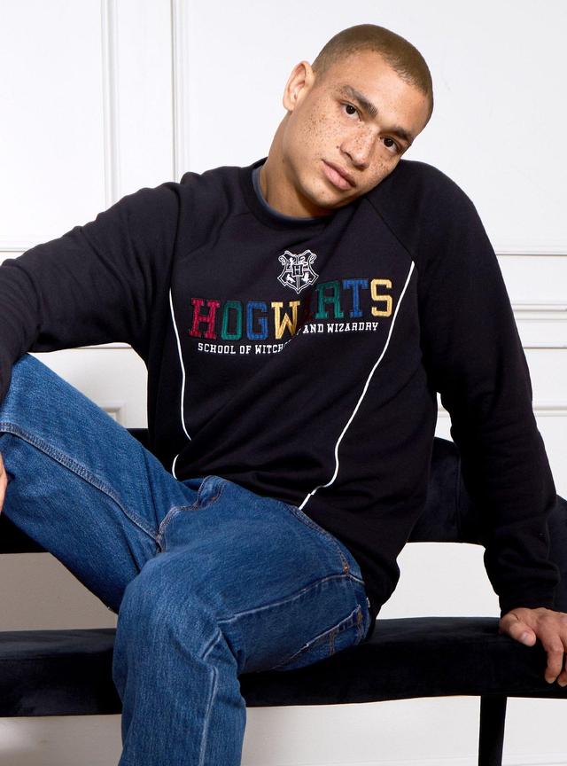 Harry Potter Hogwarts Multi-Color Title Crewneck - BoxLunch Exclusive