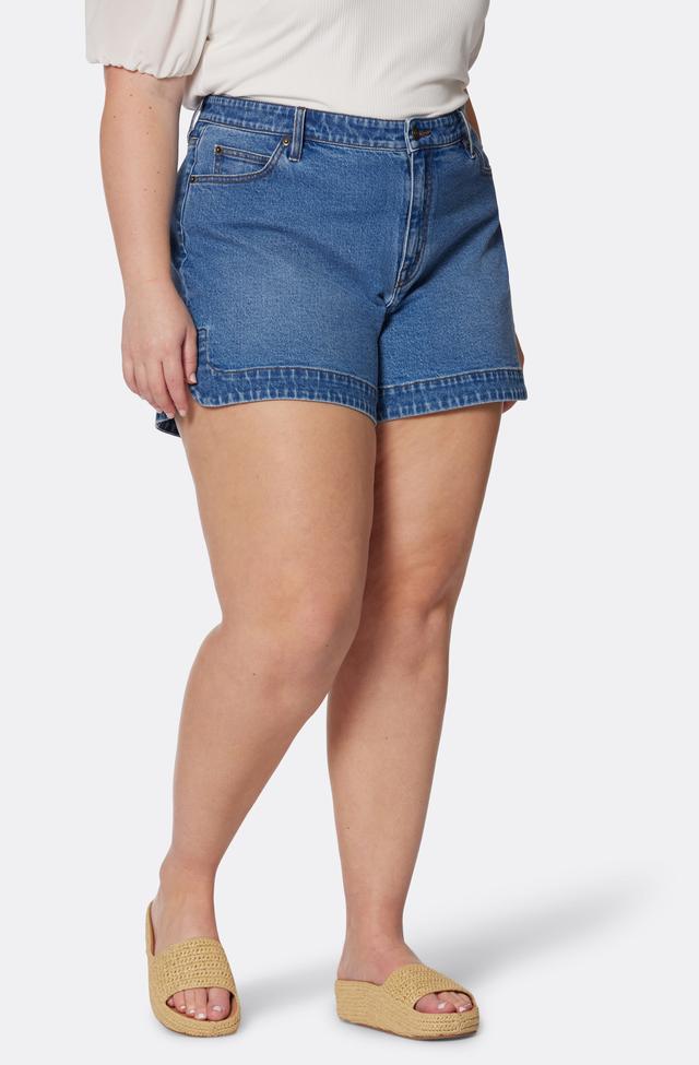 Joie Tatum Shorts