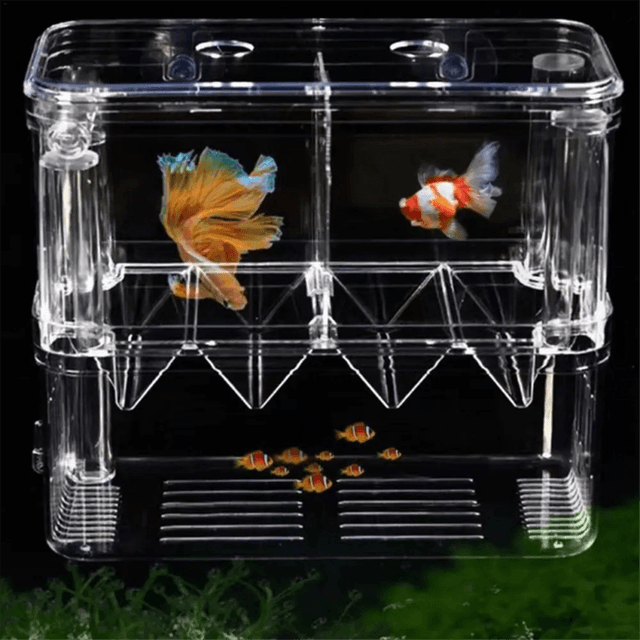 Fish Breeding Box Double-Layer Acrylic Breeding Tank Isolation Box
