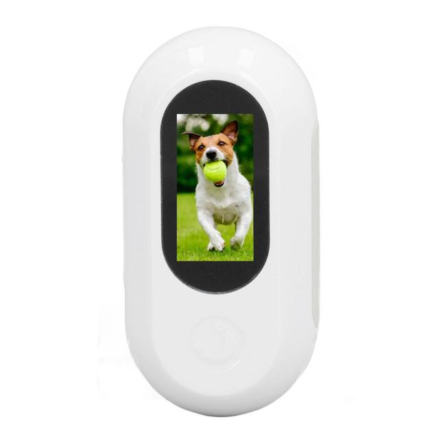 Adjustable 120 Lens Pet Collar Camera for Cats - White & Portable
