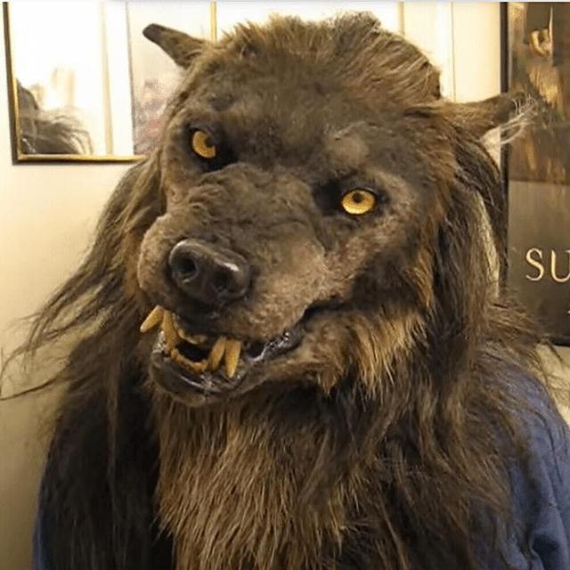 Wolf with glowRealistic ANIMAL HORROR COSPLAY MASKS Werewolf,Halloween