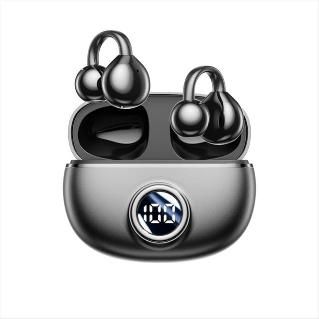 Bluetooth 5.4 AI Translation Earphone Smart Voice Translator,B