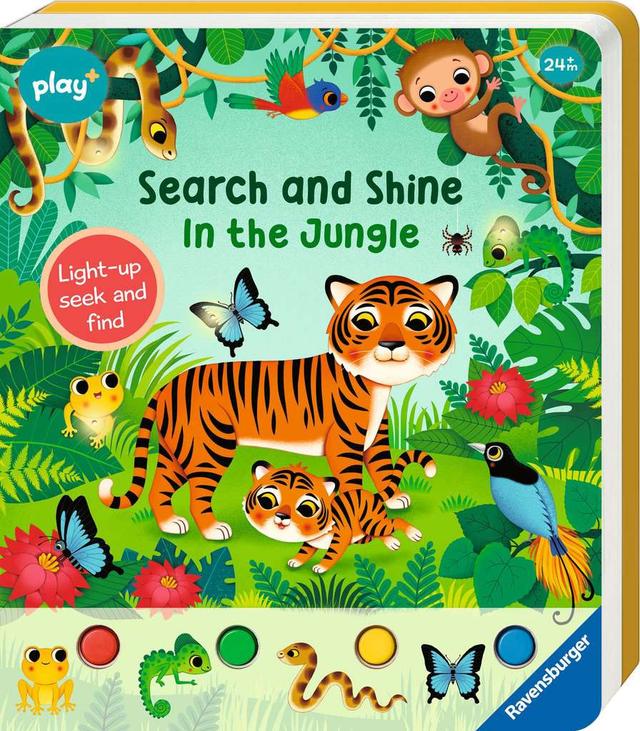 Search and Shine In the Jungle