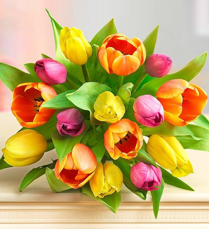 1-800-Flowers Flower Delivery Assorted Tulip Bouquet 15 Stems, Bouquet Only