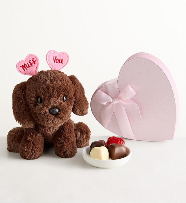1-800-Flowers Gifts Delivery Lotsa Love Sweet Puppy W/ Chocolate Sweet Puppy Lab Plush & Chocolate