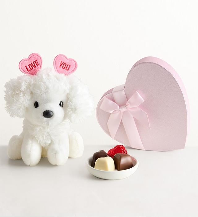 1-800-Flowers Gifts Delivery Lotsa Love Sweet Puppy W/ Chocolate Sweet Puppy Poodle Plush & Chocolate