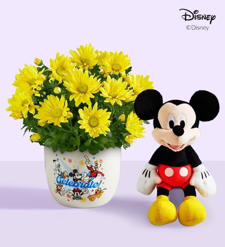 1-800-Flowers Everyday Gift Delivery Disney Celebration Mum Plant Disney Ceberate - 4" Yellow Mum+Plush