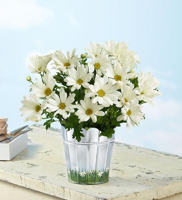 1-800-Flowers Everyday Gift Delivery Happy Daisy Small