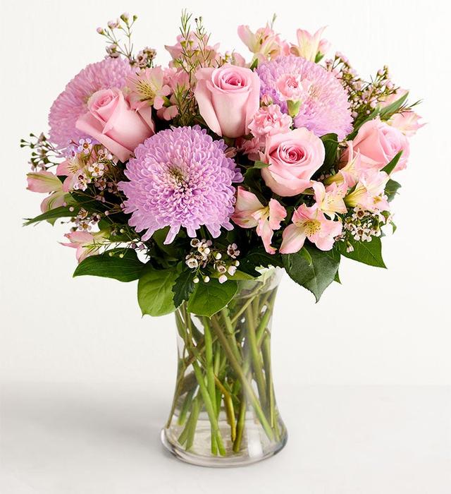 1-800-Flowers Flower Delivery Budding Romance Double