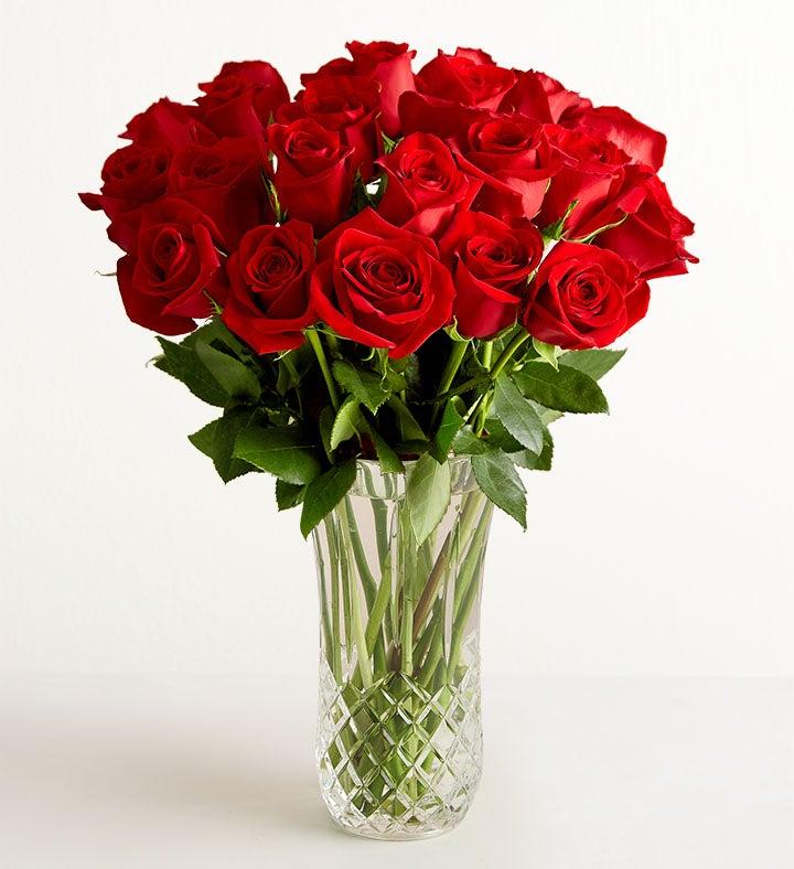 1-800-Flowers Flower Delivery Two Dozen Red Roses W/ Luxury Posh Vase W/ Posh Vase
