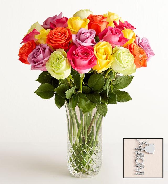 1-800-Flowers Flower Delivery Two Dozen Assorted Roses W/ Luxury Posh Vase W/ Posh Vase & Necklace