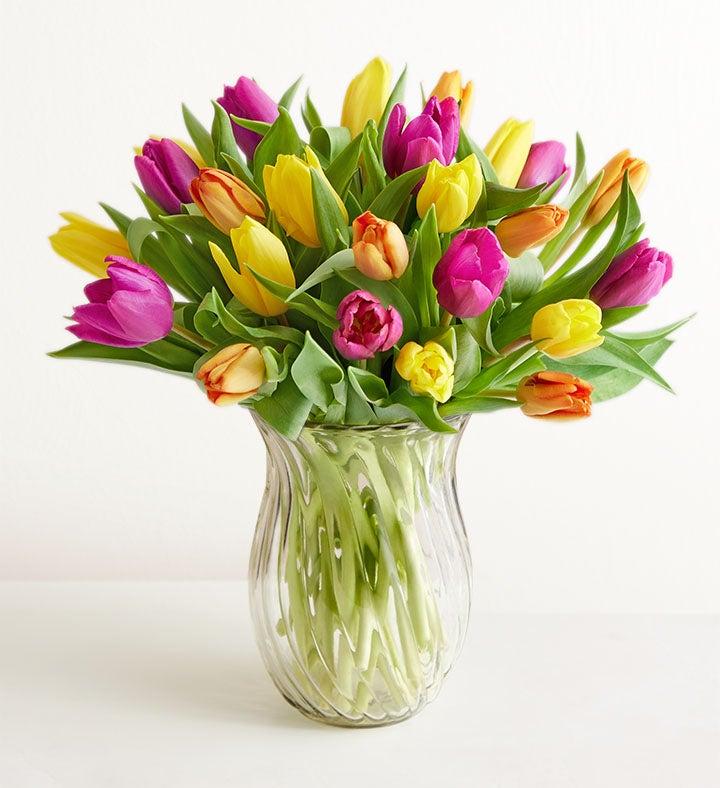 1-800-Flowers Everyday Gift Delivery Assorted Tulip Bouquet 30 Stems W/ Clear Vase