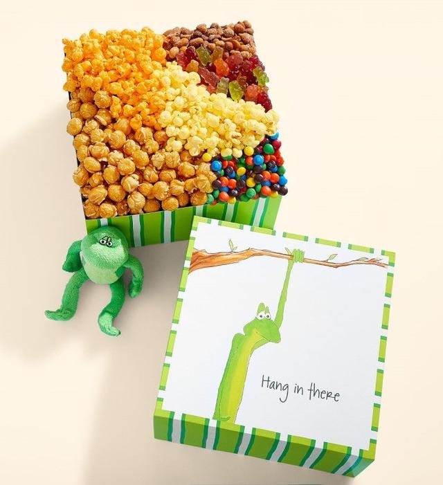 Hang In There Deluxe Sampler, Popcorn Thinking of You Gifts by The Popcorn Factory