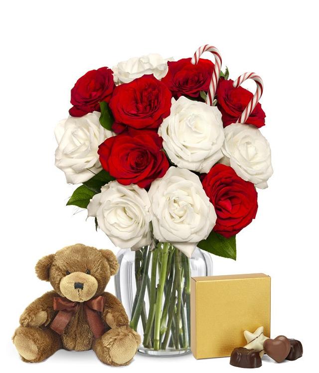 One Dozen Candy Cane Roses with Chocolates & Bear