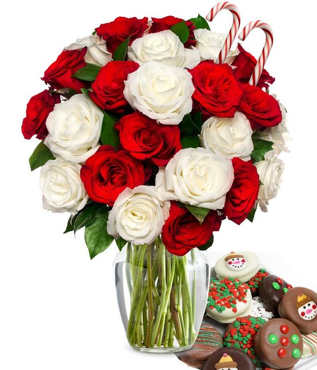 Two Dozen Candy Cane Roses with Christmas Oreos