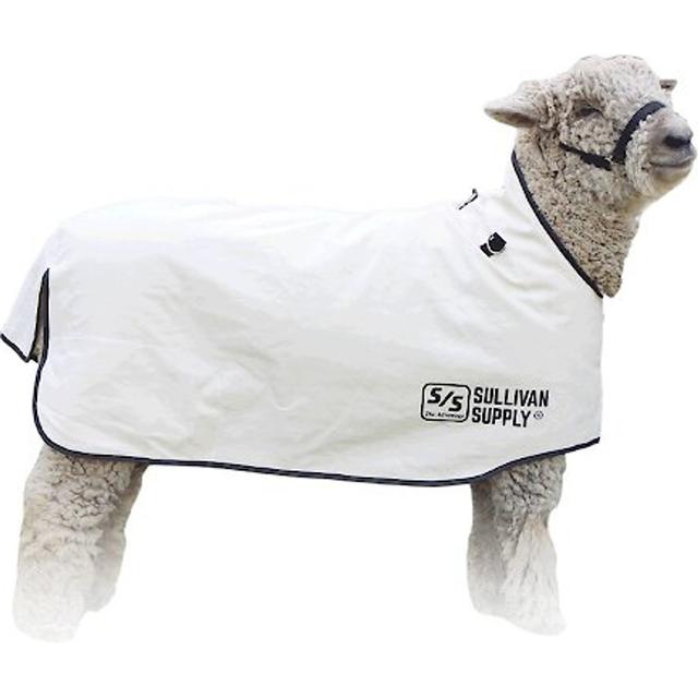Sullivan Supply Canvas Lamb Blanket, Medium