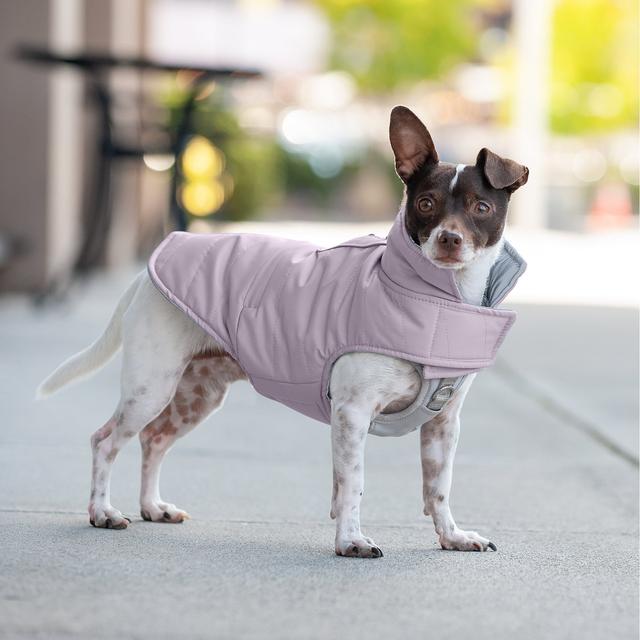 FurHaven Reversible Reflective Puffer Dog Coat, Lavender, X-Small