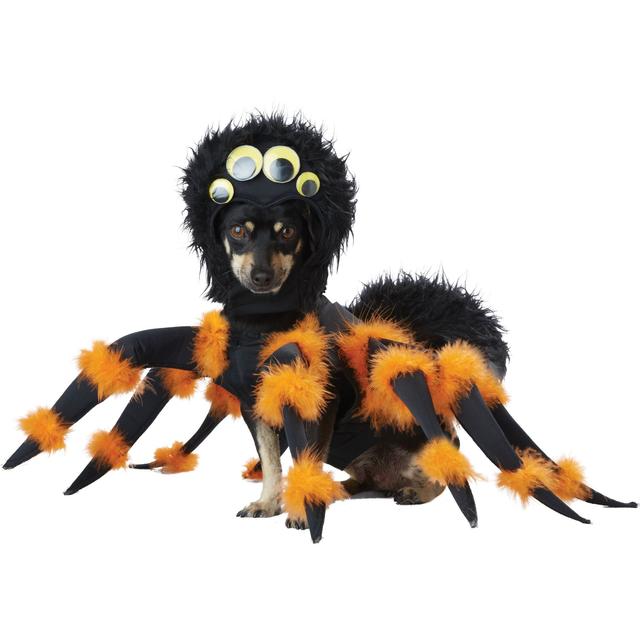 California Costumes Spider Pup Dog Costume, X-Small