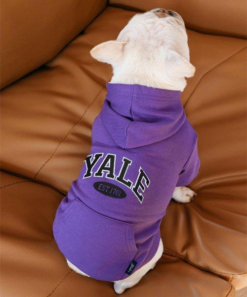 Two-tone arch pottery hood_purple [PURPLE]