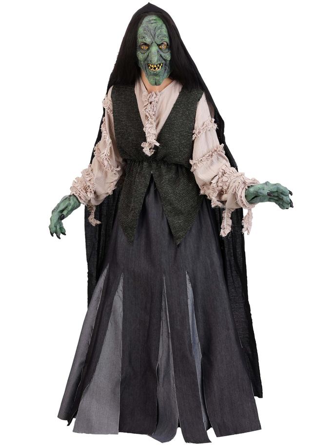 Premium Evil Green Witch Adult Costume | Scary Witch Costumes