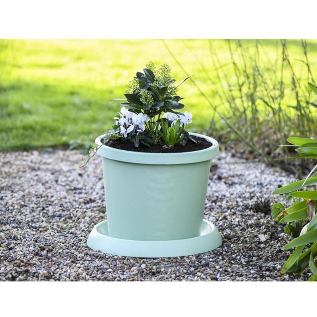 Thompson & Morgan 42cm Planter & Saucer x2