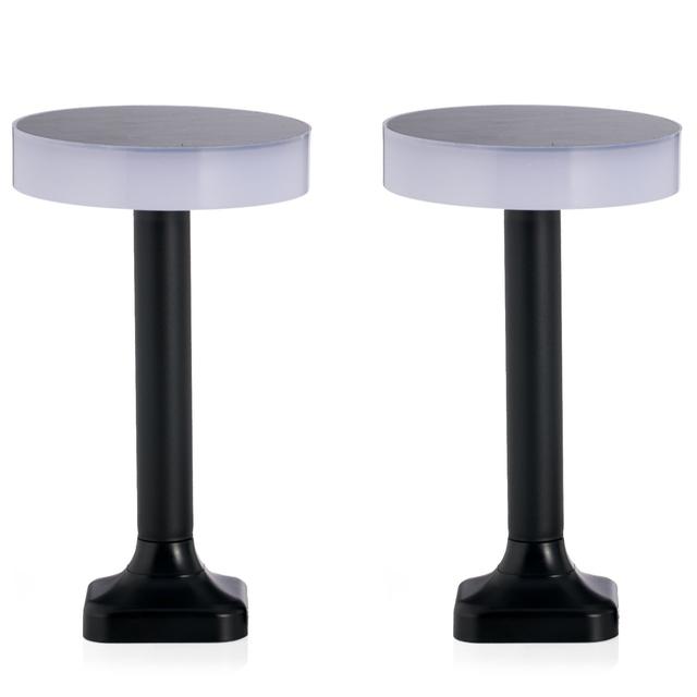 Luminous Set of 2 Contemporary Colour Changing Solar Disc Lights