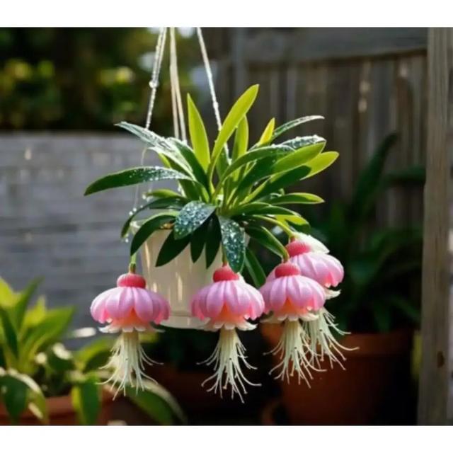 TEMU Entrepôt Local Lampe à Esprit Plante Rare Graines de Fleurs 200 Graines