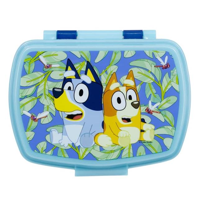 TEMU Lunch Box Sandwich Container For Kids