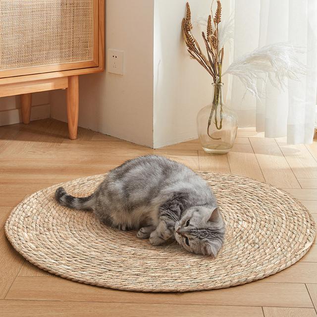 TEMU Cat Scratching Board, 2 In 1 Oval Cat Scratcher Cardboard Bowl Nest, Kitty Scratch Pad Corrugated Lounge Bed For Indoor Kitten Grinding Claw, Furniture For Couch Carpets Sofas, Large
