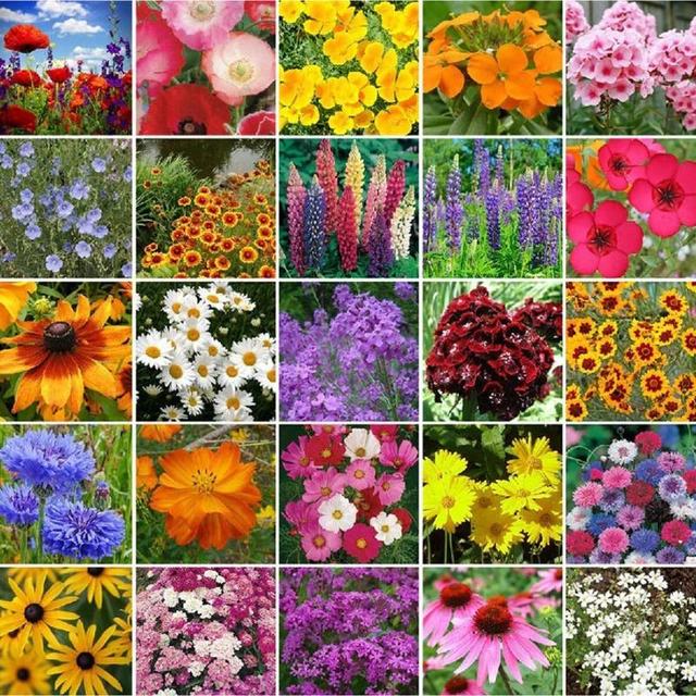 TEMU 34 Types Perennial Bulk Packaged Of Mixed Used For Planting, With 90 Seeds That Bees, Butterflies, Hummingbirds, , Are Easy To Plant And
