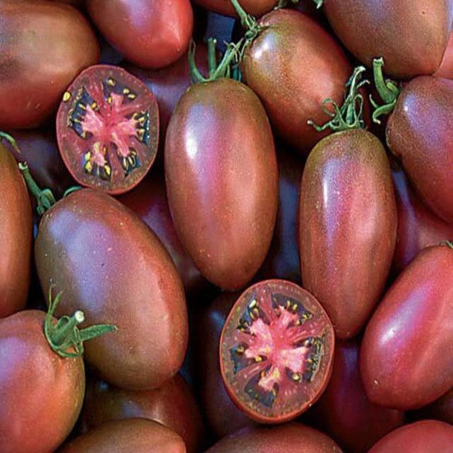 TEMU Tomate de Ucraniano 50 Sementes - AKA Russo - Cultivado Organicamente e Não GMO (Solanum Lycopersicum)