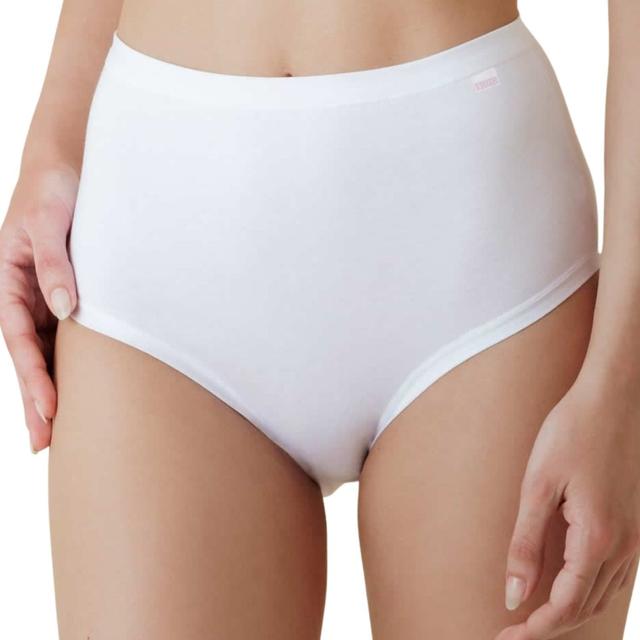 TEMU Pack Of 6 High-waisted Women's Panties - Women's Briefs In - Women's Underwear - Breathable And Comfortable Lingerie