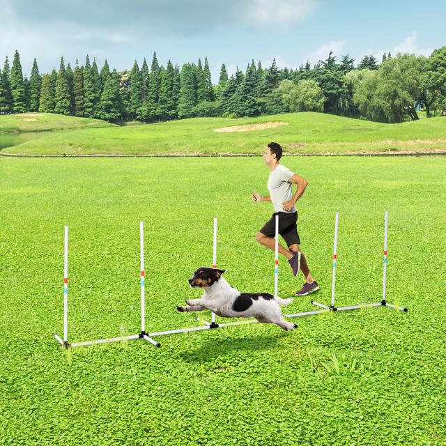 PawHut Dog Agility Training Kit Obstacle Course Set Exercise Equipment Weave Poles Indoor Outdoor with Carrying Bag | Aosom Canada