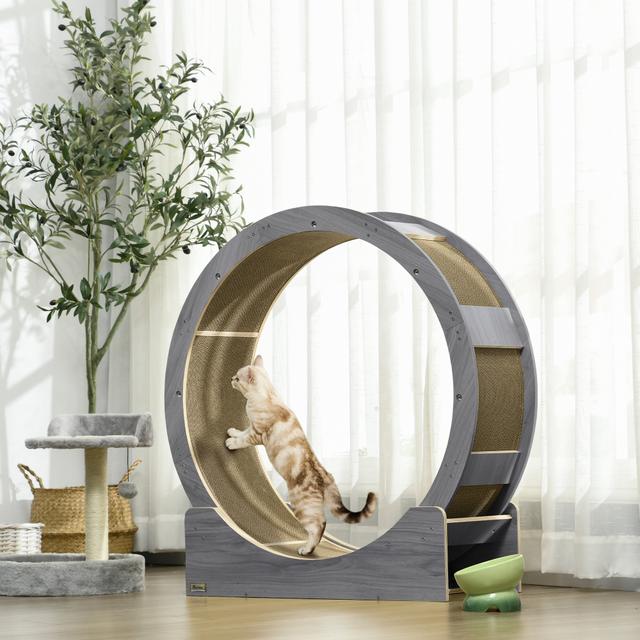 PawHut 36" Cat Wheel for Indoor Cats with Brake, Scratching Pads, Grey | Aosom Canada