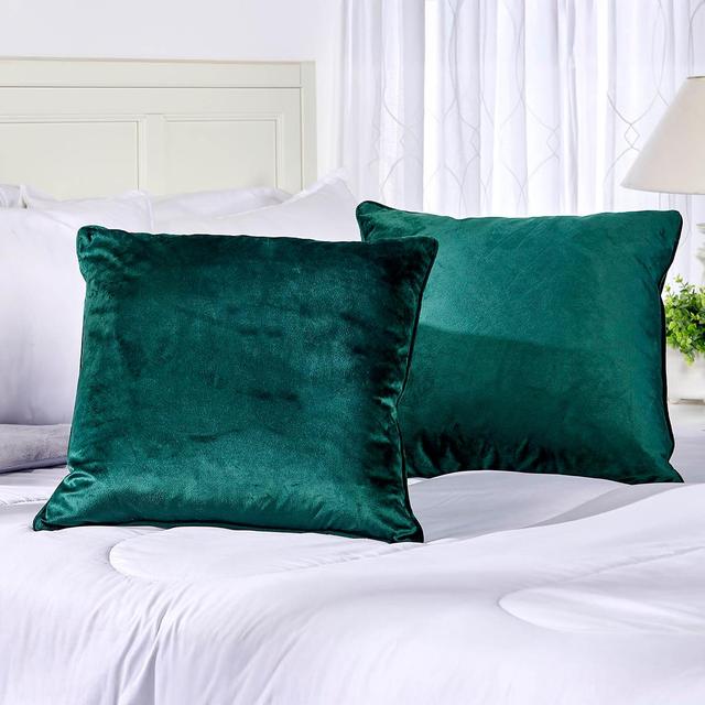 Metro Luxe 2pk. Velvet Feather-Filled Decorative Pillows - 20x20
