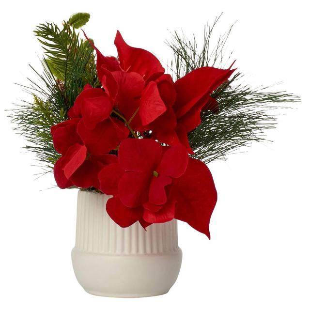 Poinsettia Pine in White Pot Centerpiece