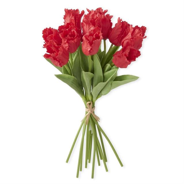 K&K Interiors Red Parrot Tulip Bundle