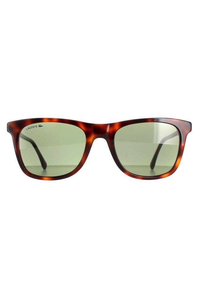 L933S Sunglasses -