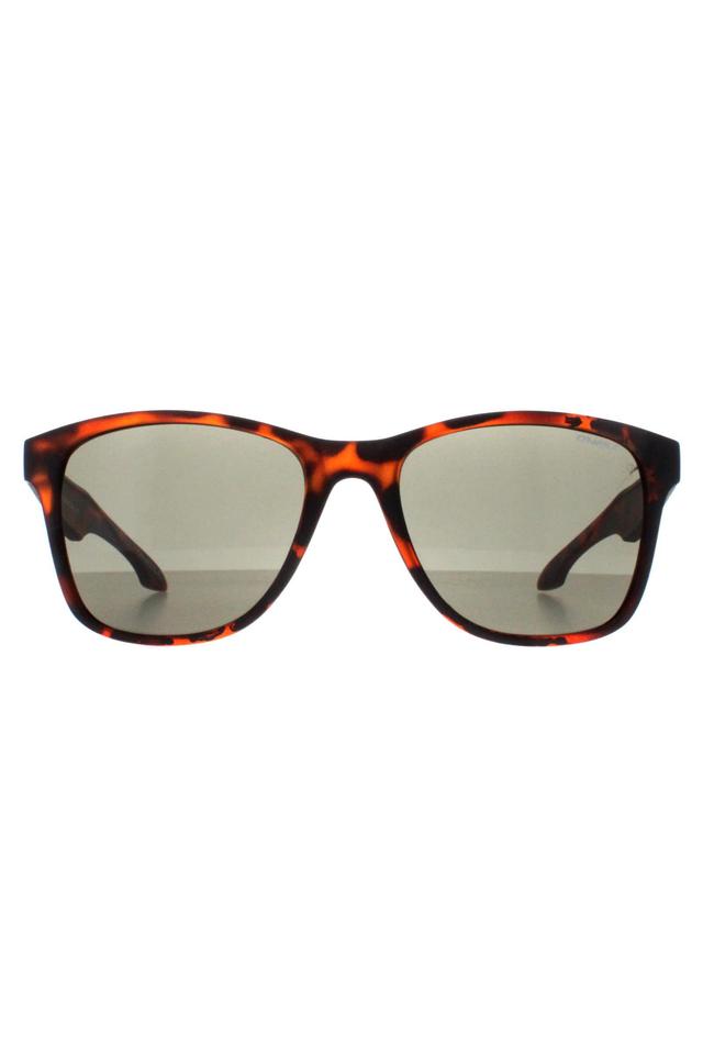 Shore Sunglasses -
