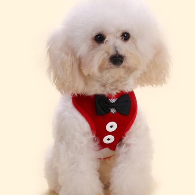 TEMU أزياء بووتي جنتلمان بدلة سهرة سترة مع مقود للكلاب الصغيرة والمتوسطة والكبيرة