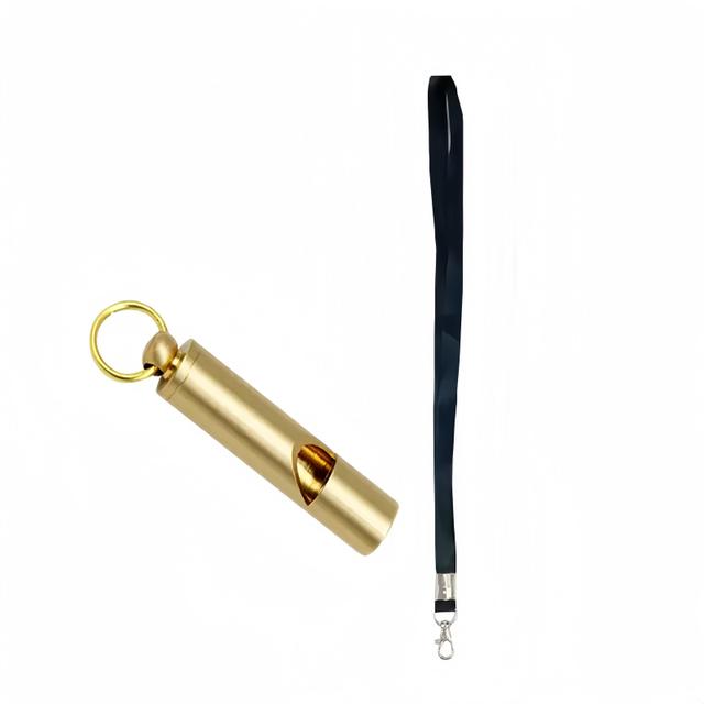 TEMU 2pcs/set Ultrasonic , Including 1 Whistle With A Small Loop And A Lanyard, Dog Training Artifact, Dog Training Supplies, Outdoor Survival Whistle, Pure Copper Whistle, Easy-to-carry Whistle