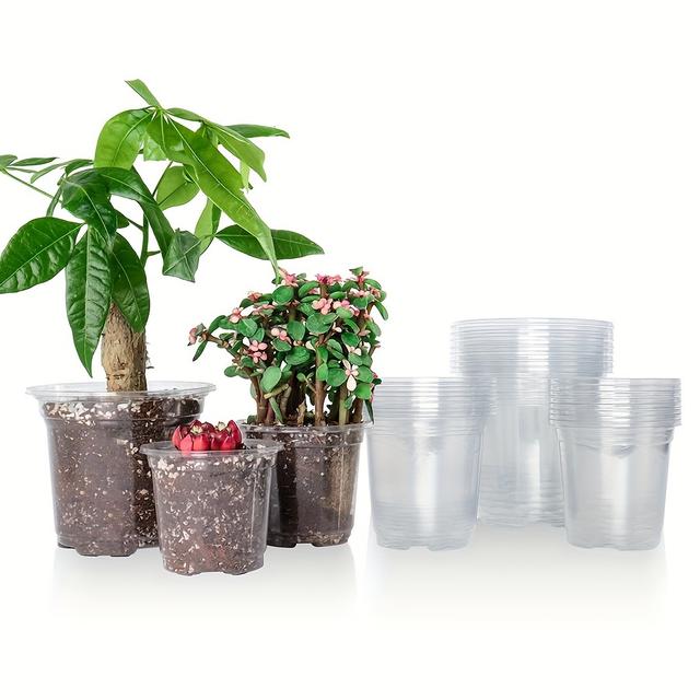 TEMU 30 Transparent Plastic Flower Pots Measuring 5/4/3.5 Inches With Drainage Holes