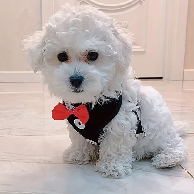 TEMU Vest Style Dog Leash For Small Dogs Teddy Bear Pomeranian Chest Harness Puppy Puppy Walking Leash Dog Chain